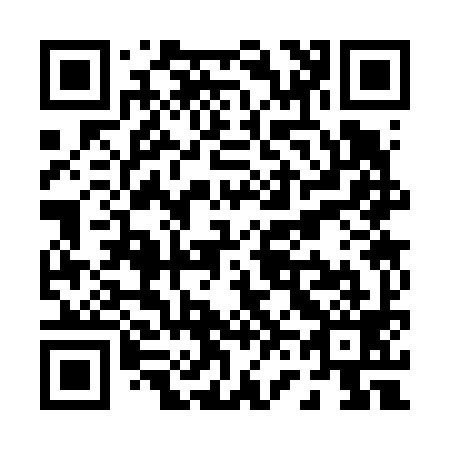 QR code for P63699