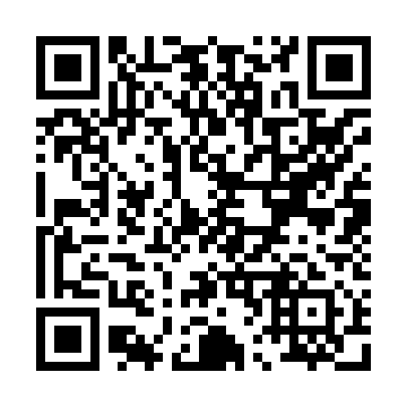 QR code for P63811