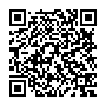 QR code for P63838