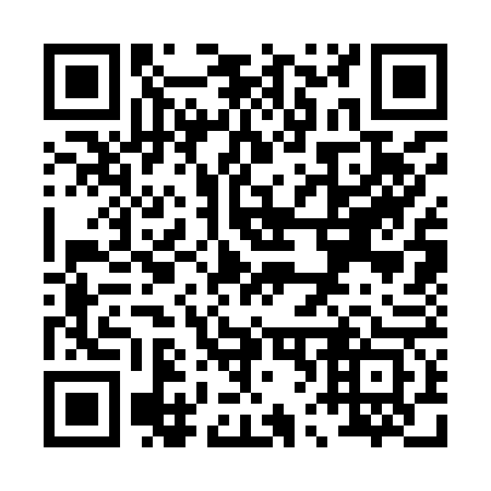 QR code for P63963