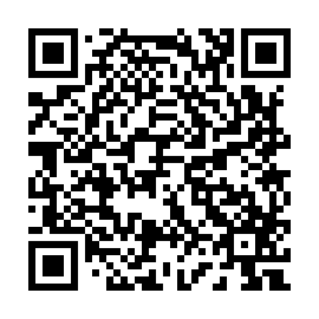 QR code for P63987