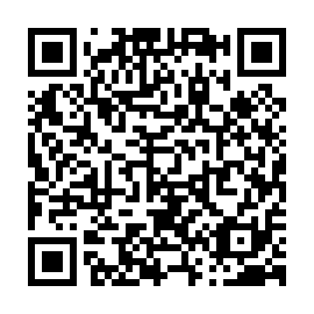 QR code for P65011
