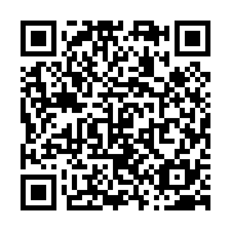 QR code for P65035