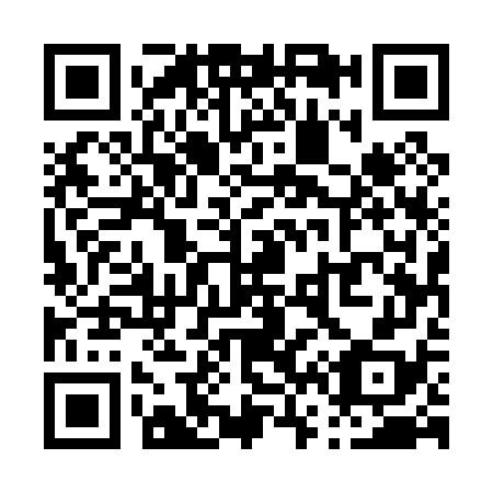QR code for P65078