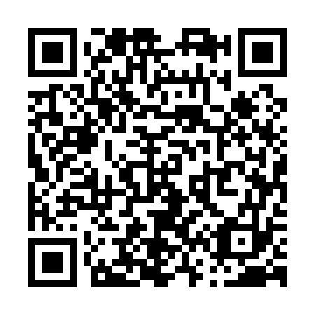 QR code for P65173