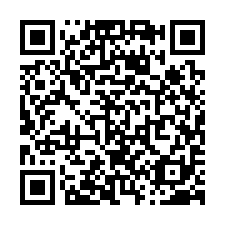 QR code for P65391