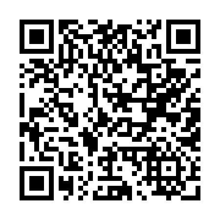 QR code for P65496