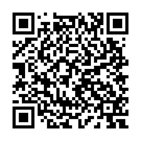 QR code for P65713