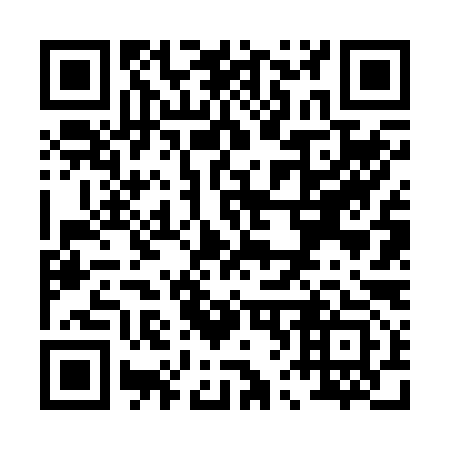 QR code for P66293