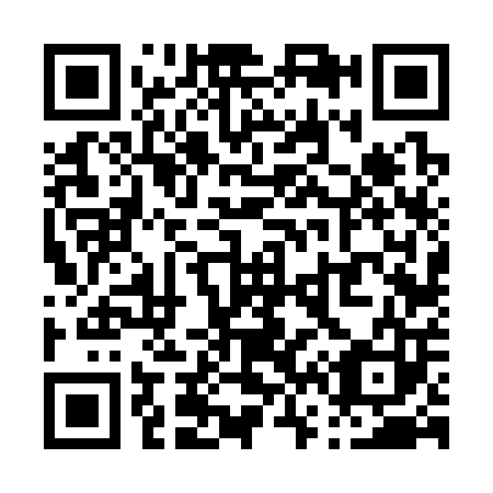 QR code for P66303