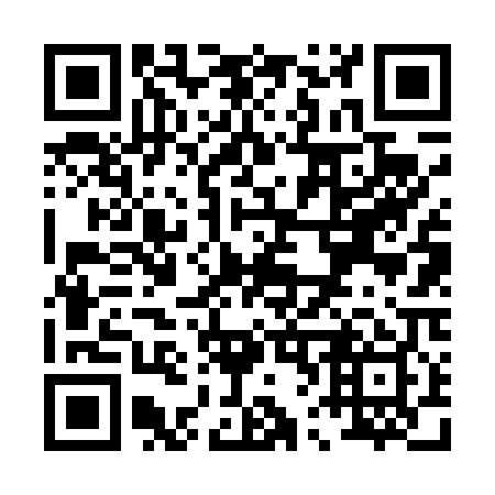 QR code for P66409
