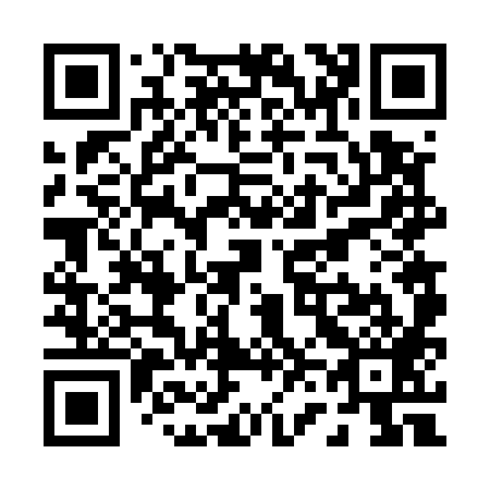 QR code for P66589