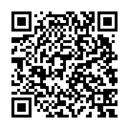 QR code for P66638