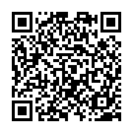 QR code for P67177