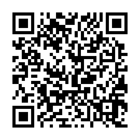 QR code for P67316