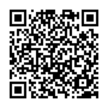 QR code for P67374
