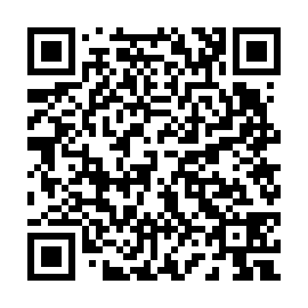 QR code for P67638