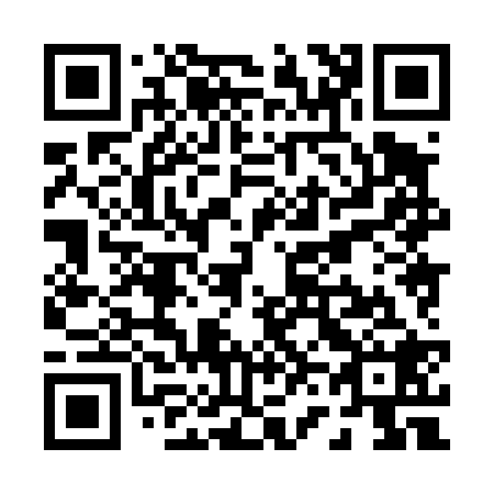 QR code for P68428