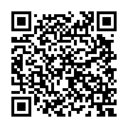 QR code for P70065