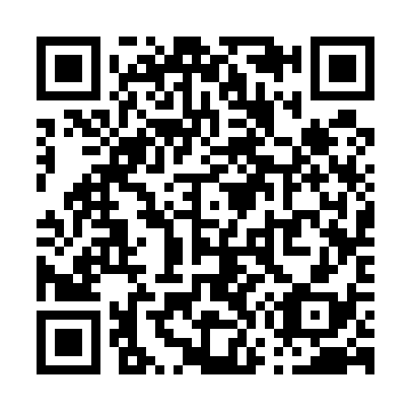 QR code for P73538