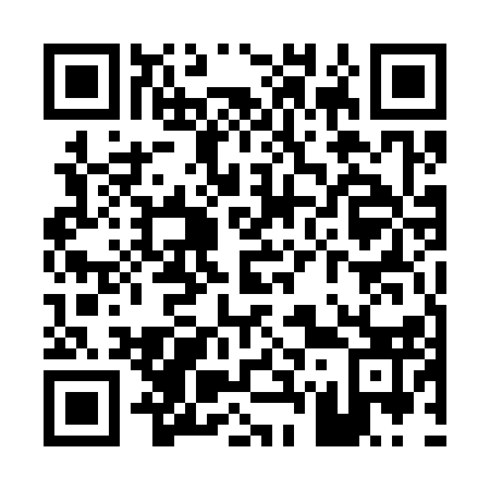 QR code for P75313