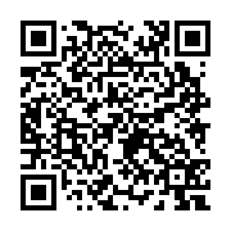 QR code for P78336