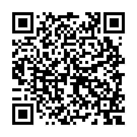 QR code for P78381