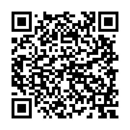 QR code for P78581