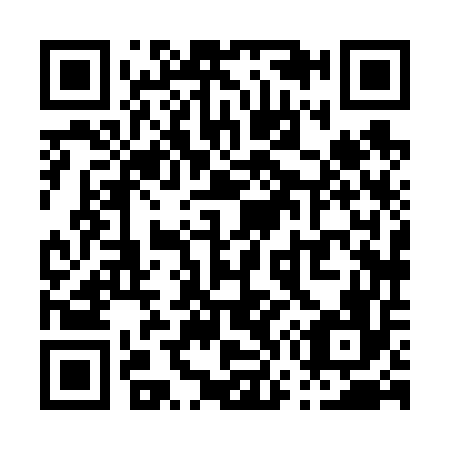 QR code for P78656