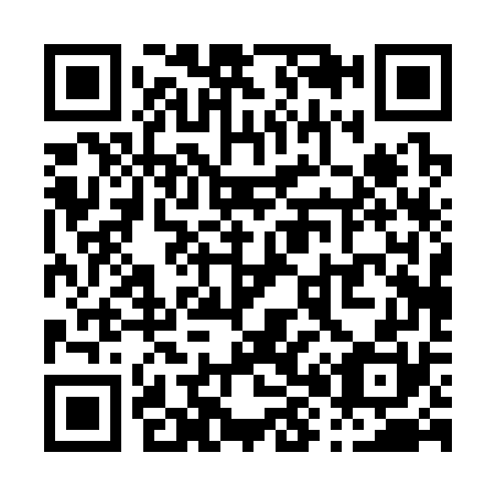 QR code for P80370