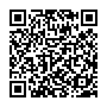 QR code for P80431