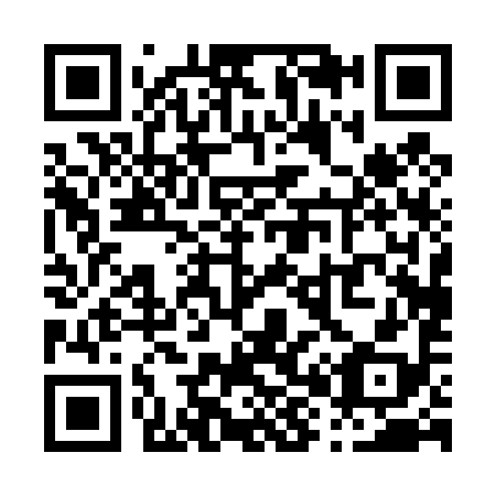 QR code for P80498