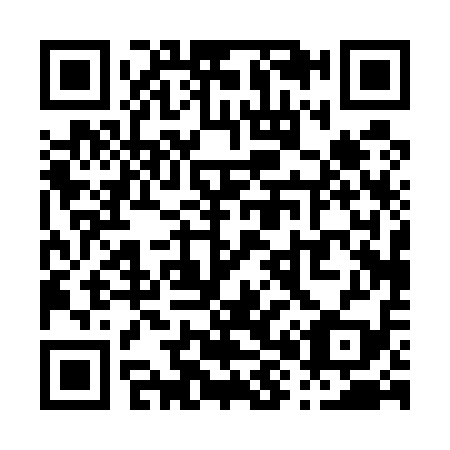 QR code for P80519