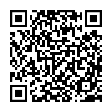 QR code for P80667