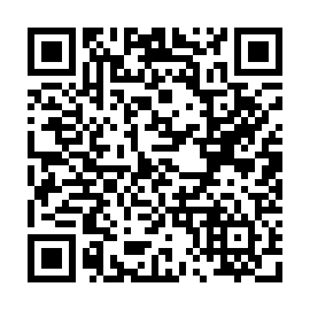 QR code for P81124