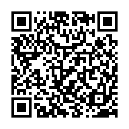 QR code for P81313