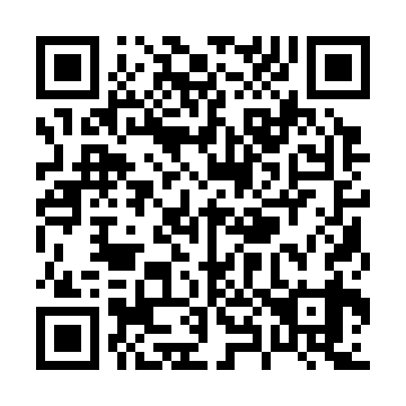 QR code for P81339