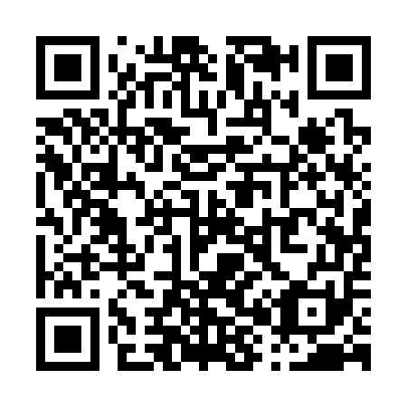 QR code for P81351