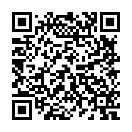 QR code for P81816