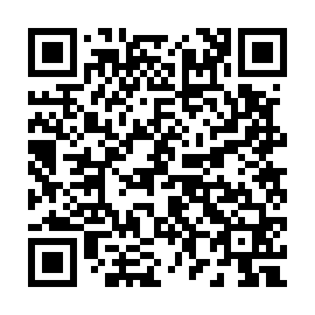 QR code for P82560