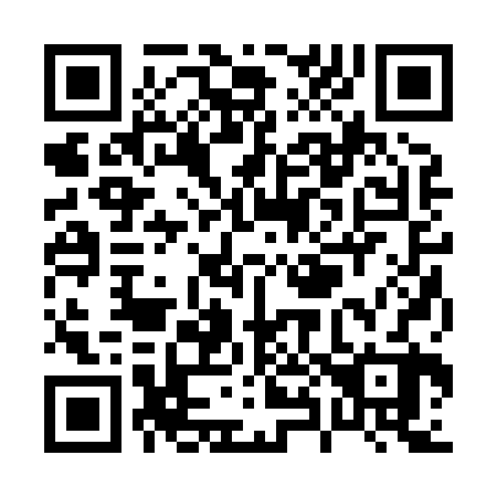 QR code for P82822