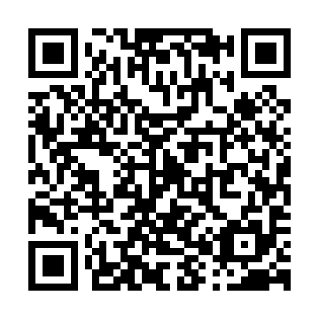 QR code for P85095