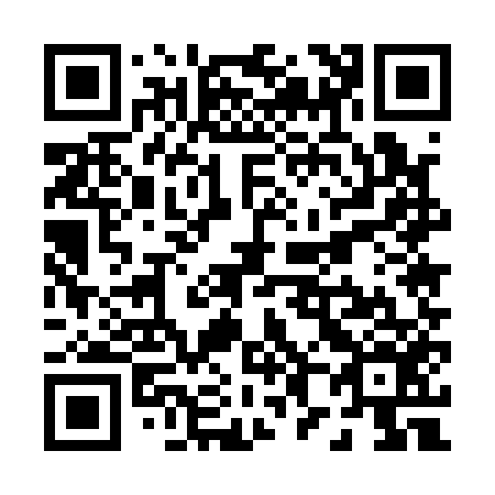 QR code for P85156