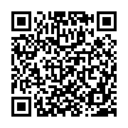 QR code for P85176