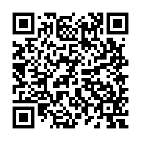 QR code for P85197