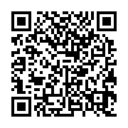 QR code for P87333
