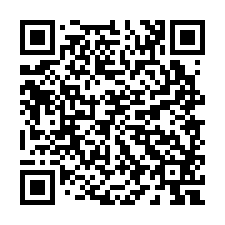 QR code for P90382