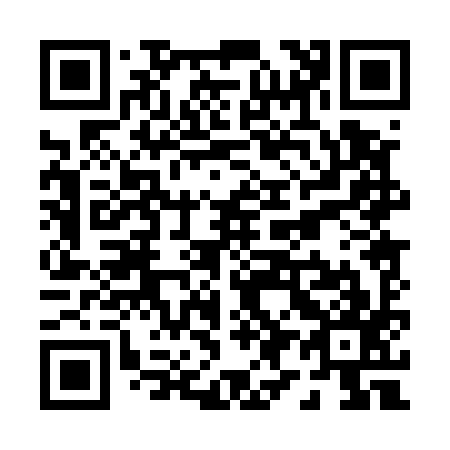 QR code for P90597