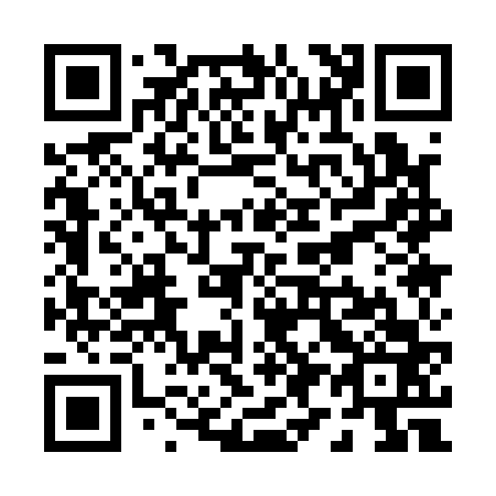 QR code for P91163