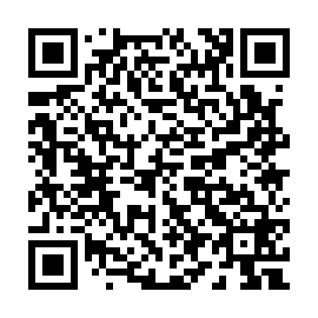 QR code for P91168